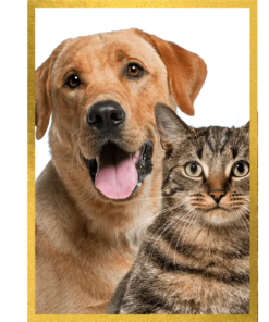 Unlimited Daycare Special