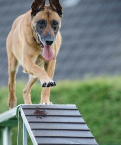 Private One-on-One Training