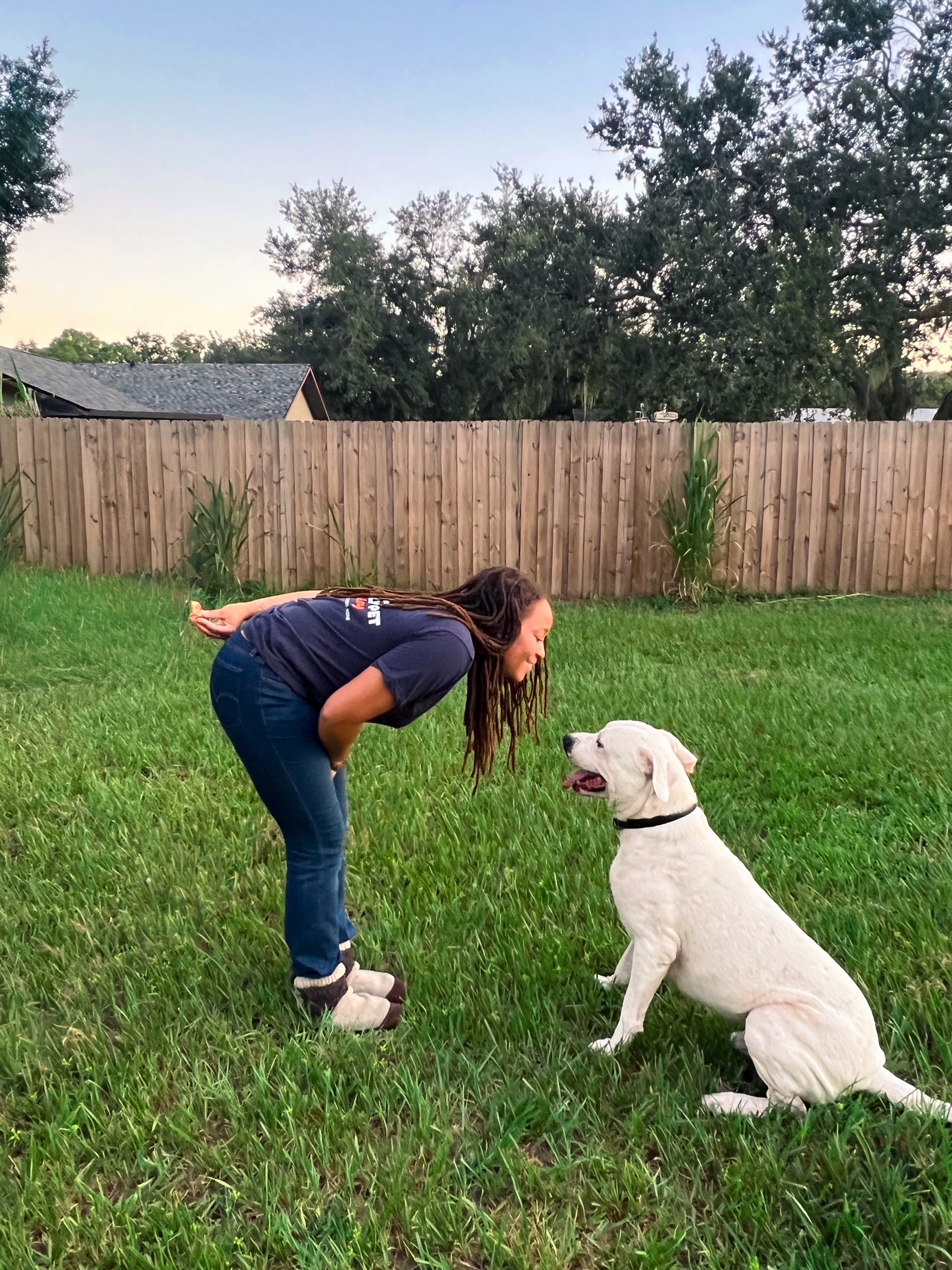 Professional dog trainer working with a dog outdoors